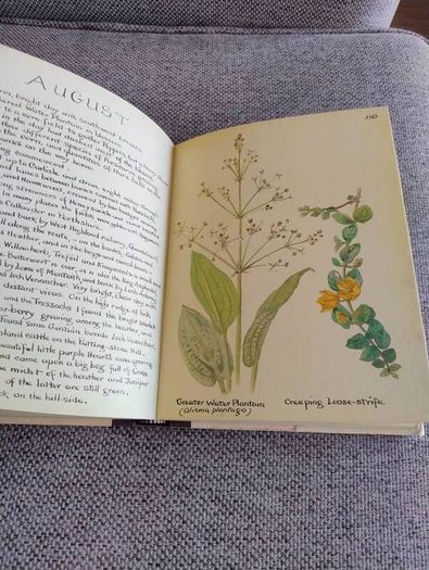 The Country Diary of an Edwardian Lady 1979 by Edith Holden in very good condition with some wear to the dustcover see photos FREE STANDARD POSTAGE INCLUDED