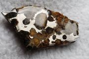 Meteorite Pallasite in epoxy resin