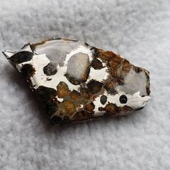 Meteorite Pallasite in epoxy resin