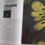 vintage science magazine 1999 Image 3