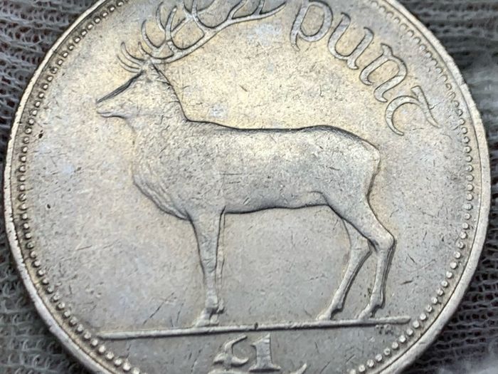 Ireland 1996 1 Pound Coin