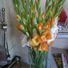 julie.lyons.3597