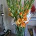 julie.lyons.3597