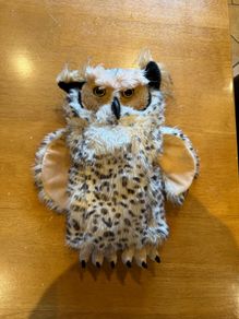 Owl driver head cover