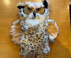 Owl driver head cover