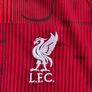 Liverpool FC 2023/24 PRE MATCH Men's Training Jersey Size XL Image 2