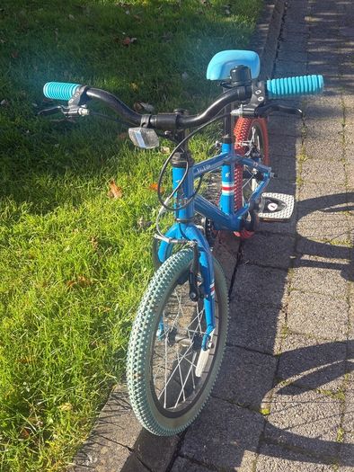 Raleigh Pop 16 Kids Bike in Blue