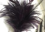 Vanity Fair plum fascinator for wedding bride/groom
