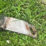 Toyota Rav bull bar Image 8