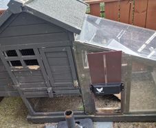 Chicken Coop