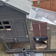 Chicken Coop