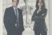 Bones Season One 6-disc DVD Television Series