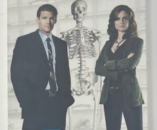 Bones Season One 6-disc DVD Television Series