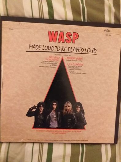 Wasp.