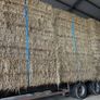 Barley straw 8x4x3 Image 3