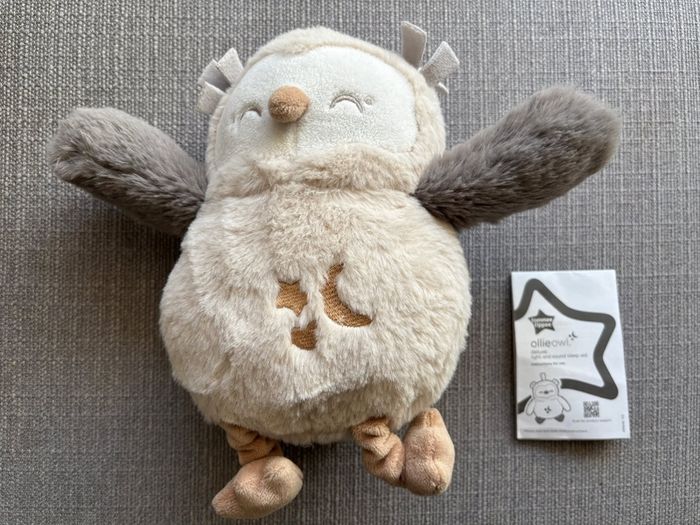 Olly the owl