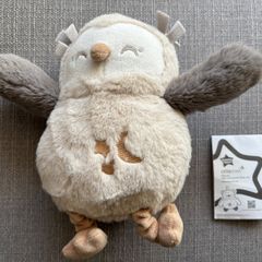 Olly the owl