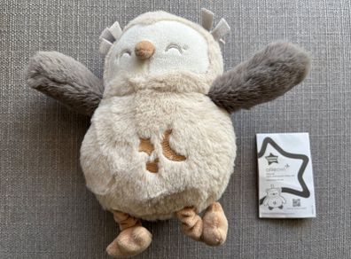 Olly the owl
