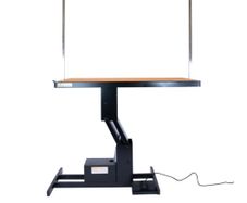 Dog grooming table