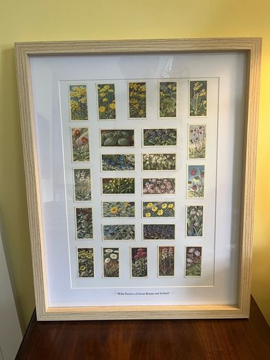 Wildflowers of GB & Ireland Tea Cards