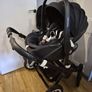buggy Image 8
