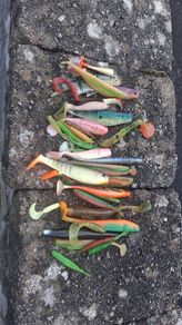 Rubber fishing lures