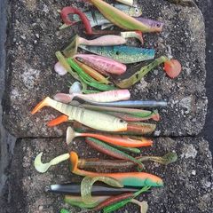 Rubber fishing lures