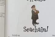 Na Seol Ar an Titanic by David Stewart Irish Language Childrens Kids Book Illustrated Educational Book Gaeilge Gaelic
