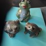 Ornamental Frogs Image 4