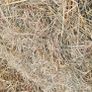 Hay For Sale Image 2