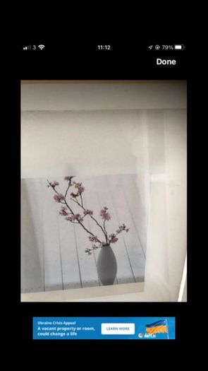 Framed Floral Print