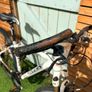 Bike Image 3