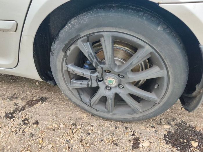 Skoda Octavia 2008 1.9 tdi