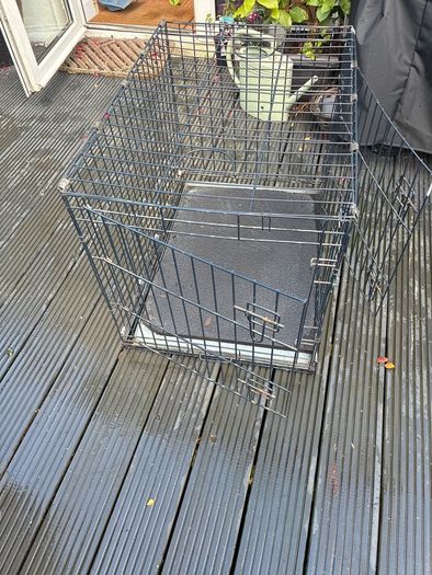 dog cage