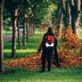 Backpack Leaf Blower - Powerful 65cc  Petrol  2 Stroke Engine - Extra Padded Back Support Straps - Ex Demo & Graded Models Available Image 6