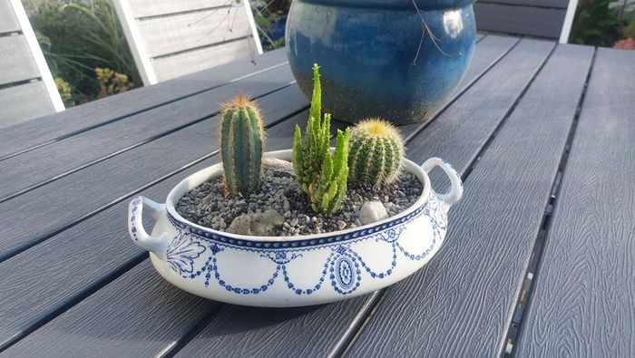 Fabulous Antique W. Adams Two-Handled Tureen with Cacti Garden - A Fabulous Unique and Decorative Item for Display Indoors