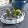 Fabulous Antique W. Adams Two-Handled Tureen with Cacti Garden - A Fabulous Unique and Decorative Item for Display Indoors Image 6