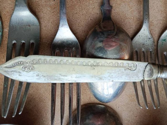 Vintage Silver Plated Cutlery Set EPNS Grand Hotel Spoons Included