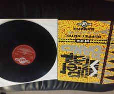 Super Rail band New dimensions in rail culture lp