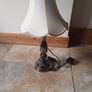 vintage lamp Image 4