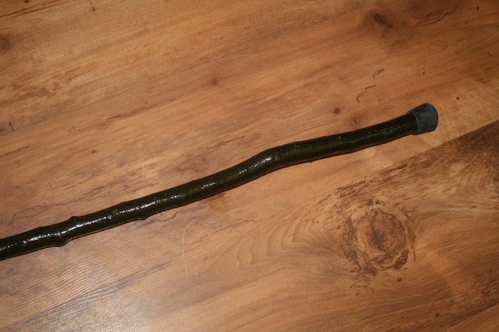 Walking stick