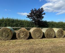 free bales