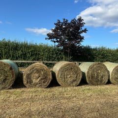 free bales