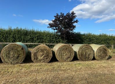 free bales