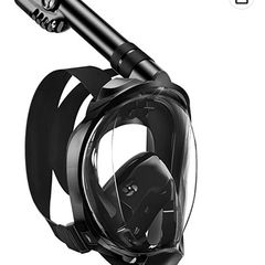 Snorkel Mask