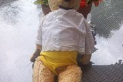 Vintage teddy bear, collectible, post War, 30s, D18