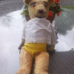 Vintage teddy bear, collectible, post War, 30s, D18