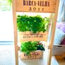 3 Tier planter Image 7