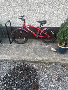 boys bike