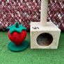 Cat House Image 2